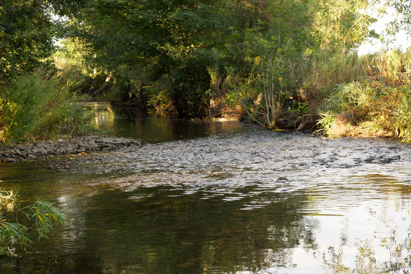 river alyn fishing wrexham