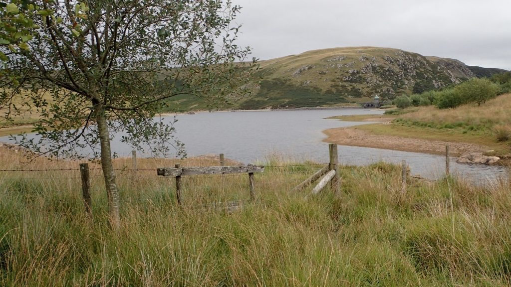 craig coch reservoir fishing elan valley