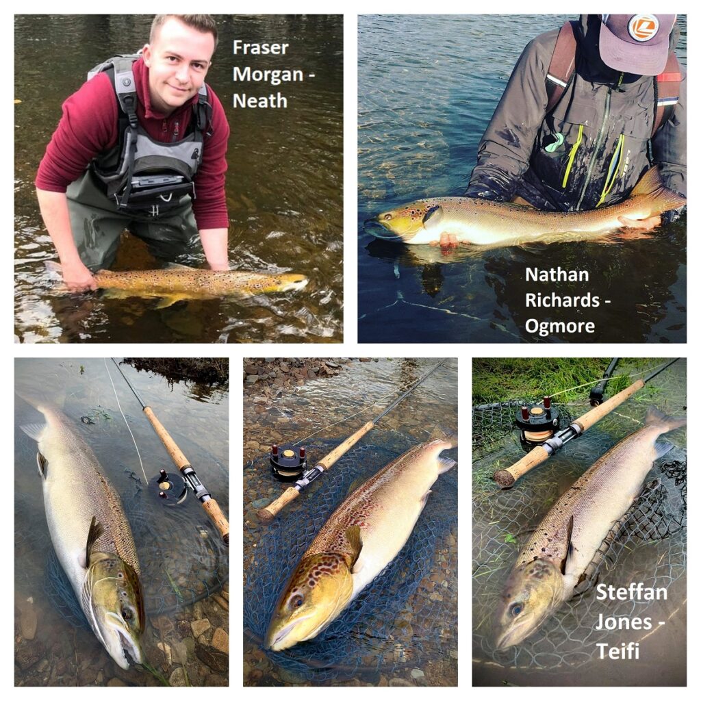 Salmon fishing in Wales