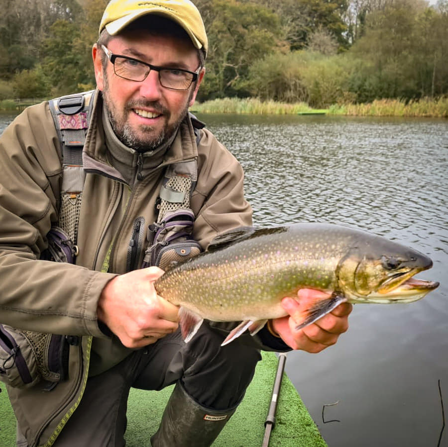 Spartic trout Wales