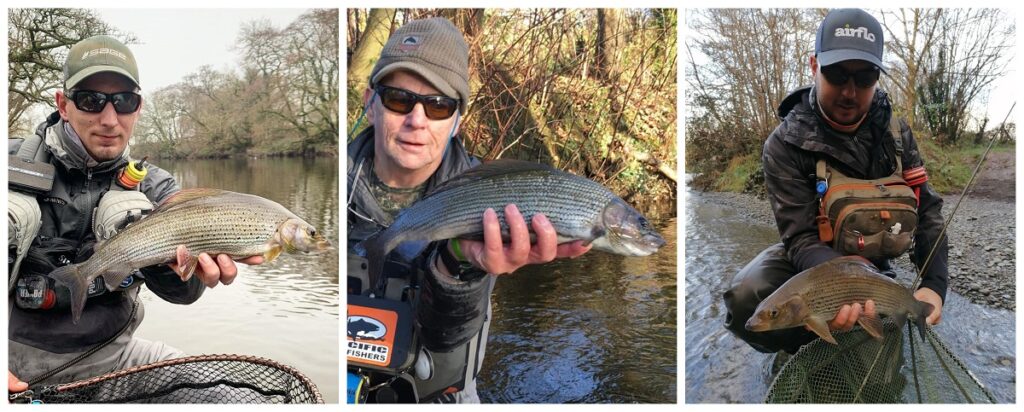 fly fishing for grayling Wales
