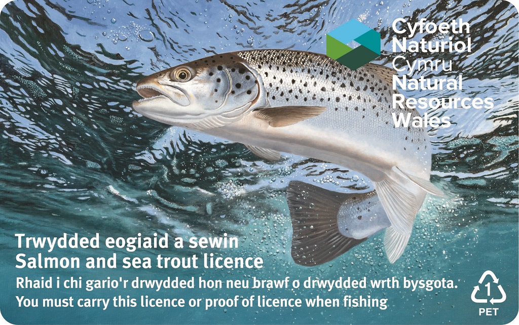 NRW rod fishing license Wales