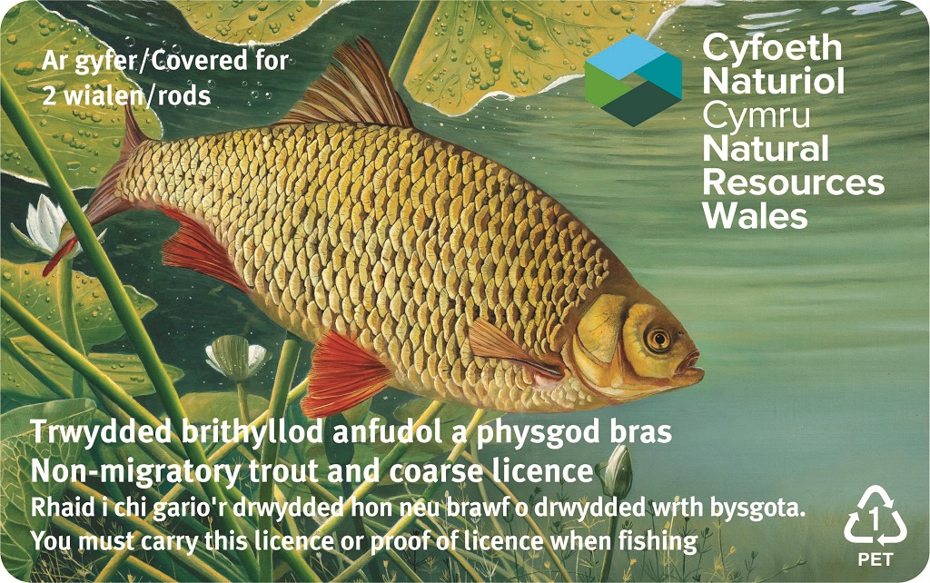 fishing rod license Wales