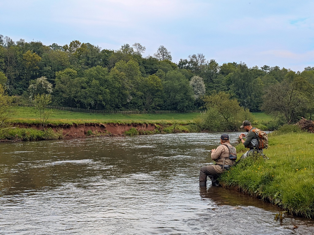 river monnow mayfly fishing